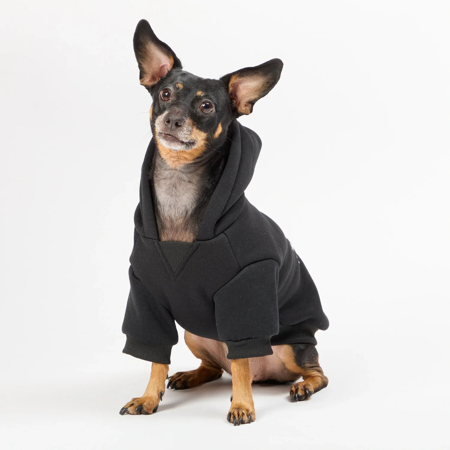 Moletom com Capuz para Caes Cool Flicks Preto 4
